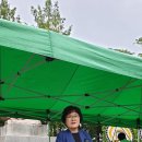 윤희순 동상 네이버블로그