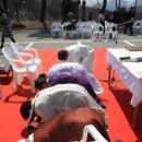 토마스101 이미지