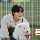 스카이개슬 이미지