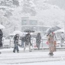 진안-진안-비상-15 이미지