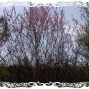 대자연농원 이미지