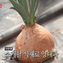 농장갈비