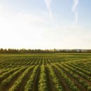 친한농장 이미지