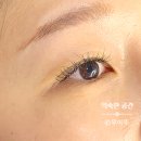 [뷰티] ENFJ 원장님의 다정한 맞춤 케어 - 홍대속눈썹연장 포쉬래쉬
