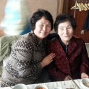 권기은 Daum카페