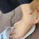 해비치나루 관광펜션 이미지