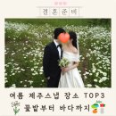 여름 제주스냅 top3 장소! 데이지꽃밭부터 바닷가까지 후기