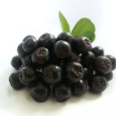 와동농장 이미지