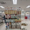 (주)맥서브 - 4051 | 3박 4일 1일차 - 트립트랩, 제로나T 구매 후기 | 맥서브 주차대행, 아카짱혼포 함비타운점, 라젠트 호텔...