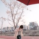 헤이쥬 네이버블로그