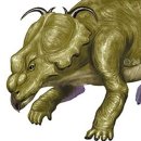 설도석유 이미지