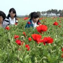 광명마을회관 이미지