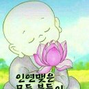 아내에게 바치는 노래 / 하수영가수 이미지