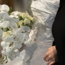대구 아이폰 스냅 : 쥬뗌므포포 후기(24년 6월 인터불고 예식)