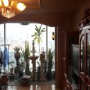 분당-225 이미지