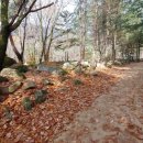 용성태양광발전소 이미지