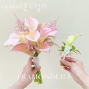 다이아몬드릴리
