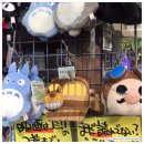 씨티플라자 앞 이미지