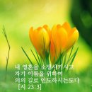 시편23편 3절 이미지