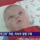 꼬치천하 이미지