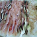 부흥횟집 이미지