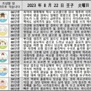 2023년 8월 22일 운세 및 세상 소식 이미지