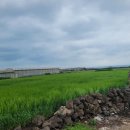 무릉리-8 이미지