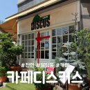 카페디스커스