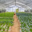 광준농장 이미지