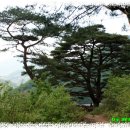 모전마을회관 이미지