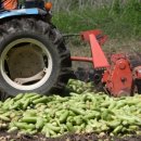 화천새싹길 이미지