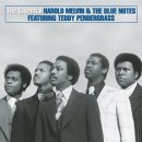 I Should Be Your Lover - Harold Melvin & The Blue Notes - 이미지
