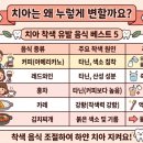 하얀미소치과 | 누런 치아 해결 방법 하얀 미소 지키는 일상 관리법 및 꿀팁 정리