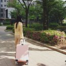 정직한이웃 이미지