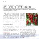 백천식품