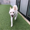 중랑구아이돌봄지원센터 이미지