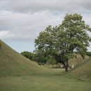 법주목장 | 아이랑 1박 2일 경주 여행 (feat.대릉원,첨성대,동궁과 월지)