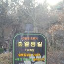 인천용현초등학교 Daum카페