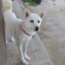 제국목장 이미지