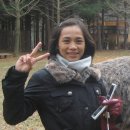 국제결혼문화원 이미지