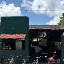 내몸살리는 요가(C반) | 멕시코 툴룸에서 보낸 4일 총정리 (맛집, 카페, 코라손 세노테, 요가 om collective, 콜렉티보 타는 곳)