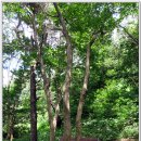 비목쉼터 이미지