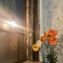 새로미안경 이미지