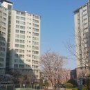 장유쌍용예가 2차 아파트 앞 이미지