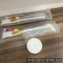 보홀 자유여행기] 보홀 0.5박 가성비 숙소 보홀 리조트 MGH 알로나 리조트 이용후기(feat. 룸컨디션, 풀장)