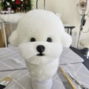 댕댕사우나 이미지