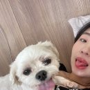 위클라드 커플 풀빌라 이미지