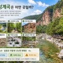 호암1리 공중화장실 | (계곡여행)경북 청송 신성계곡 여름 여행｜백석탄·녹색길·주차 안내