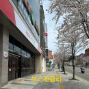 띠띠빵빵초밥 이미지