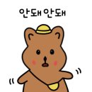 다온 합기도 네이버블로그